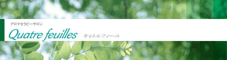 ヘッダーイメージ